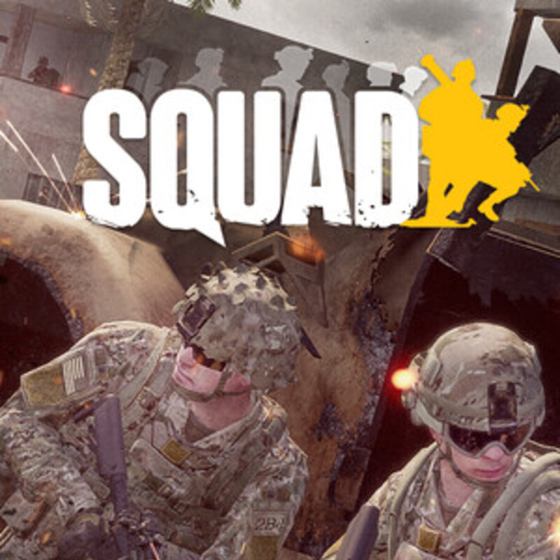 Squad Server Hosting