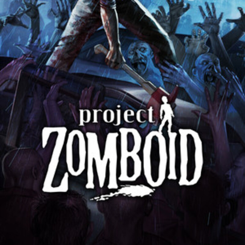 Project Zomboid Server Hosting